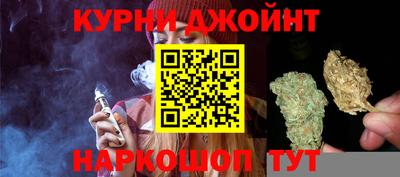 гидра Краснознаменск